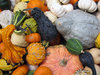 Gourds