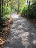Walking Path