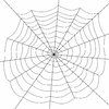Spider's Web 2