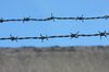 Security fence 6