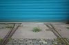 Tram tracks in cobbles