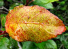 autumn's on the way