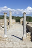 Ancient carved pillars