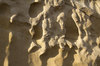 Mudstone texture