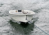 in the wake1