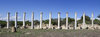 Ancient pillars