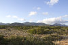 Cyprus landscape 05
