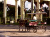 Life in Cuba