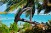 Anchor in Aruba