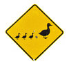 walk like a duck
