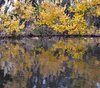 autumn river reflections1