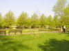 Regent's Park in London