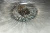 Down the plug