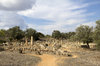Ancient church ruins 2