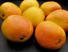 mango colour2