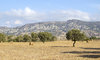 Cyprus landscape 08