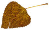 Leaf 9