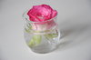 One Rose
