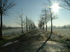 comphot04