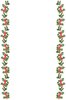 Holly border