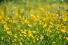 Spring has sprung. 