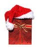 santa has come
