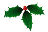 Christmas Holly