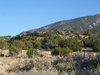 New Mexico Landscapes