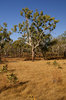 Outback Australian landscape 3