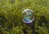 just a bubble