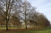 Parkland in autumn
