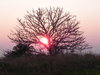 pink sunset