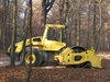forest work