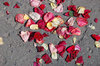 After wedding 2