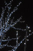 Electree 4
