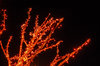 Electree 2