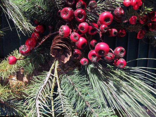 Berries and Foliage: Berries and foliage.