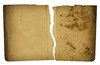 Torn Paper