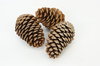Cones