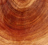 woodgrain textures