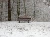 lonely winter bench
