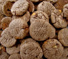 dark chocolate chip cookies2