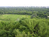 View from a hill