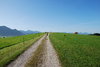 green hills