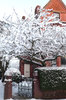 Snow covered door