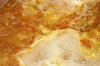 Making marmalade