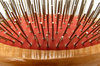 dog brush8