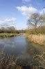 River in early spring