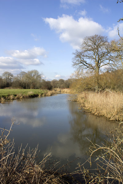 Spring Sussex