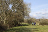 Countryside ramble